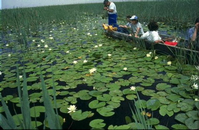 Tarihi evleriyle dikkati çeken Mudurnu ve Göynük ilçelerinin yanı sıra kaya evleriyle ünlü Dörtdivan ilçesi de Bolu'nun simgeleri arasında yer alıyor.
