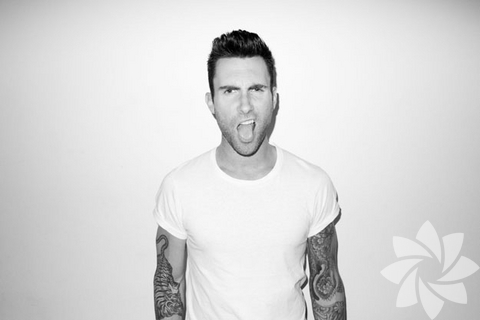 Adam Levine