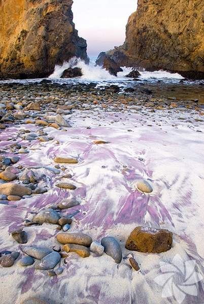 Pfeiffer Beach - Amerika