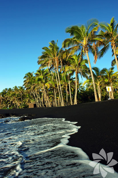 Punaluu Beach - America