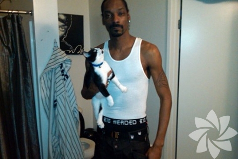 Snoop Dog