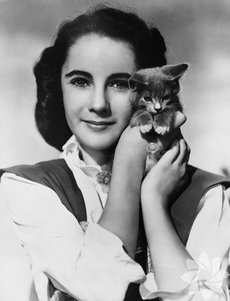 Elizabeth Taylor