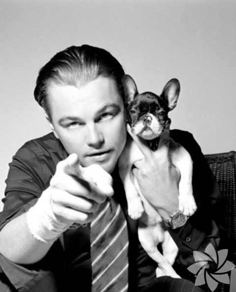 Leonardo Di Caprio