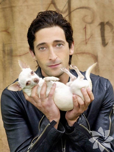 Adrian Brody