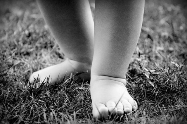 Rüzğârda yürümek