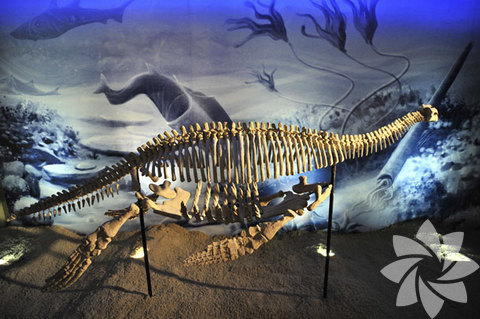 Forum Alışveriş Merkezi Jurassic Land Çocuk Şenliği -  - Jurassic Land, 21-24 Nisan tarihleri arasında çocuklar için bir şenlik düzenliyor. Çocuklar bir yandan dinozorların maceralı dünyasını keşfederken diğer yandan renkli ve birbirinden eğlenceli etkinlikler, oyunlar ve yarışmalarla Jurassic Land'da unutamayacakları bir gün geçirecekler. -  - Saat 13.00'te başlayacak şenlikte, şişme zıp zıp, yüz boyama, Mini Disco Dans etkinliğinin yanı sıra birçok eğlenceli yarışma çocukları bekliyor. Sandalye kapmacadan çuval yarışmasına, deve-cüceden gözü kapalı resim çizme yarışmasına, halat çekmeden heykel yarışmasına birbirinden eğlenceli etkinlikler olacak. 