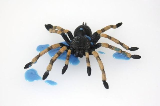 Örümceklerin kanı mavidir. İnsanlarda oksijen hemoglobine bağlanır, demir taşır ve kana kırmızı rengini verir.