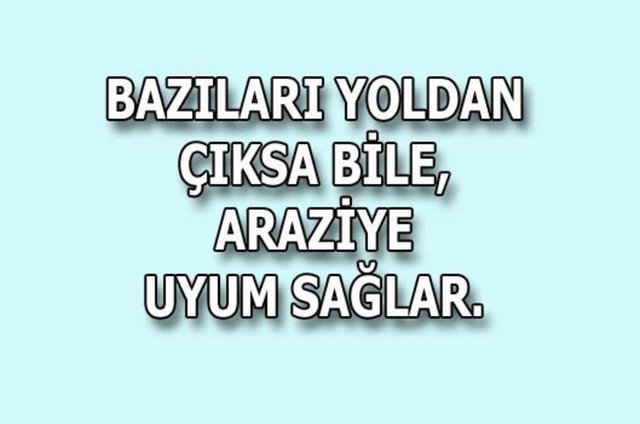 DİKKAT: Bağımlılık yapabilir...