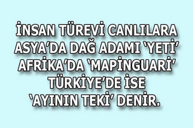 İşte sosyal ağlarda en çok paylaşılan sözler...