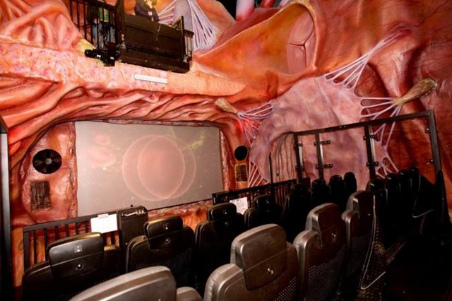 Hollanda'da bulunan Corpus İnsan Vücudu Müzesi size bu imkanı sağlıyor.