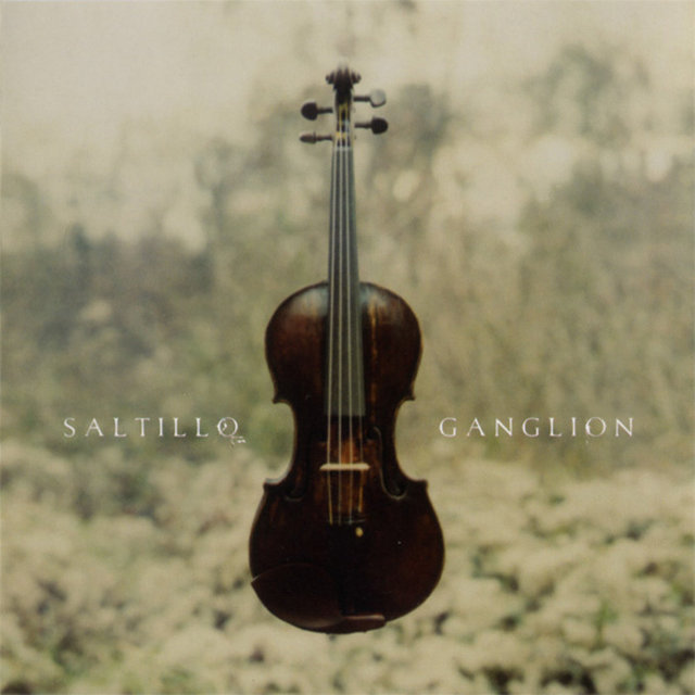 ** Saltillo / "Ganglion"