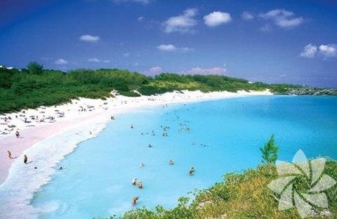 Bermuda Adası
