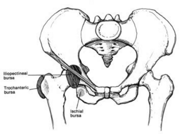 İnsanın kalça kemiği betondan daha sağlamdır