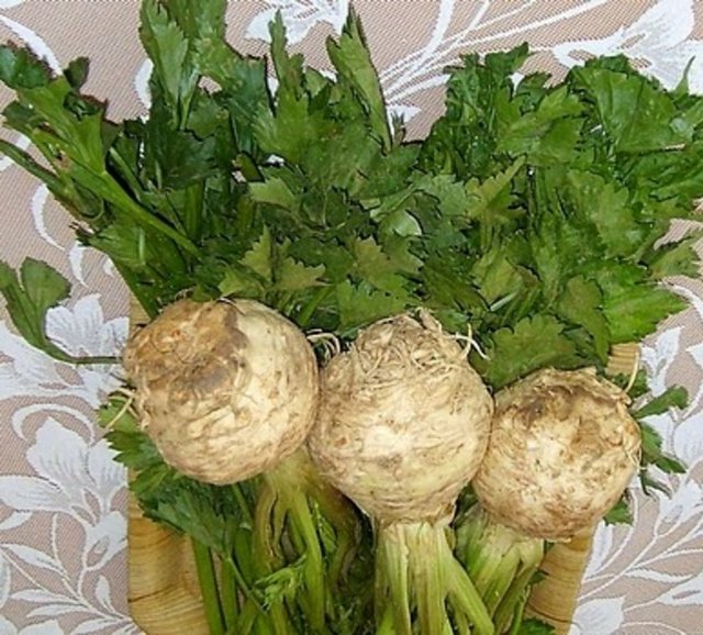 Kereviz yerken harcanan kalori,kerevizin içindeki kaloriden daha fazladır