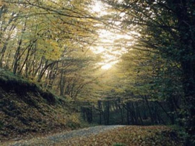 Dilburnu Mesire Yeri: Ulaşım: Sirkeci, Kabataş, Kadıköy, Bostancı ve Kartal'dan kalkan Adalar-Yalova vapurlarıyla Büyükada'ya ulaşılır. Sonrasında yürüyüş, fayton ya da bisikletle mesire yerine gidebilirsiniz.