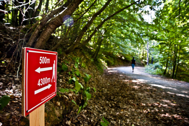 Polonezköy: - Polonezköy, İstanbul'un Beykoz ilçesinde yer alan, eski adı Adampol olan, ünlü bir Polak köyüdür.