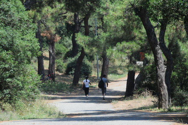 Büyükada'da yapacağınız bir fayton gezintisi ve Aya Yorgi'ye yürüyüş bile size tatil havasını yaşatabilir.