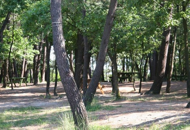 Nasıl gidilir? - Gaziosmanpaşa - Arnavutköy'ü geçtikten sonra sol tarafta yolu paralel olarak takip eden alan -  -