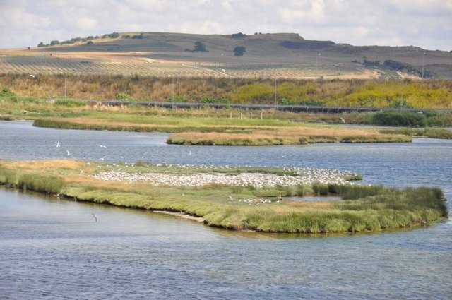 Nasıl gidilir? - E-5 üzerinden Yenibosna'yı, Avcılar'ı geçtikten sonra düz biçimde gidilince ulaşabilirsiniz. Bu bölgeye giden pek çok toplu taşıma aracı da var