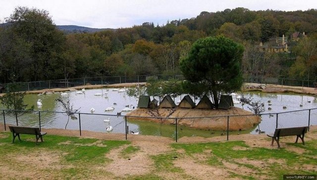 Kafa dinlemek için gidebileceğiniz Polonezköy'ü bisikletle de turlayabilirsiniz