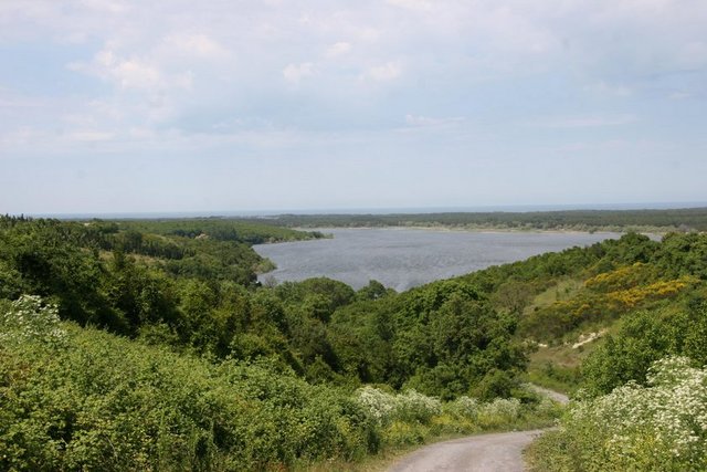 Balaban: - İstanbul'un en güzel piknik yapılabilecek yerlerinden biridir. Bir yanda Terkos Gölü'nün duruluğu bir yandan orman içinizi açacak