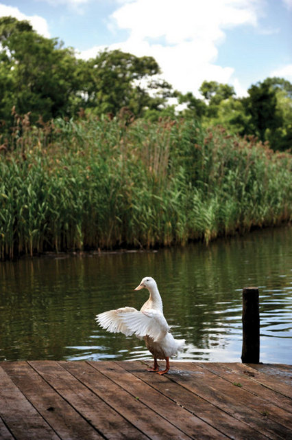 İster kendinizi sıcak kumsala atın, ister ağaçların altında dinlenin.