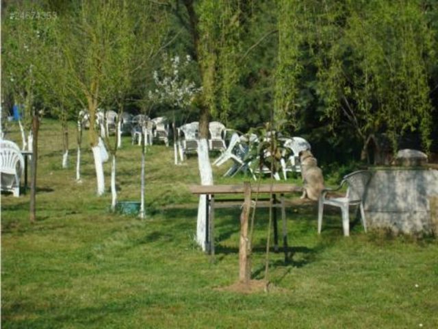 Göktürk Mesire Yeri: - Göktürk Göleti, çevrenin önemli cazibe merkezlerinden biri. İSKİ'nin denetimindeki baraj gölü, görsel zenginliğinin yanı sıra dinlenme ve yürüyüş, mangal aktiviteleri için de uygun.