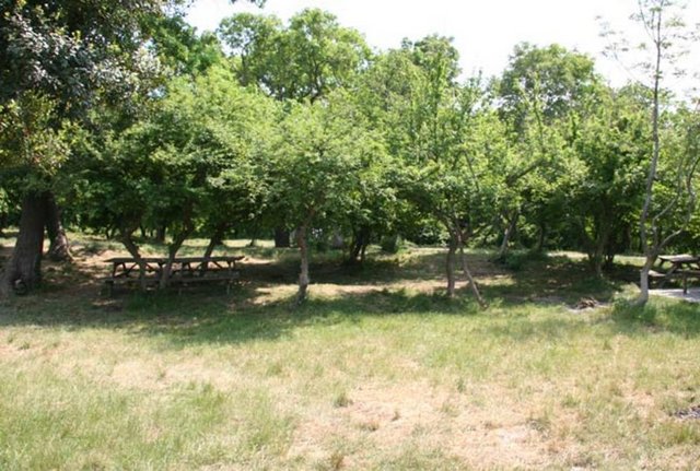 Nasıl gidilir? - İstanbul'un kuzey-batısında, kente yaklaşık 40–50 km. uzaklıkta bulunuyor. TEM yolundan Edirne istikametine devam ederken Arnavutköy-Habibler sapağından çıkıp düz devam edeceksiniz