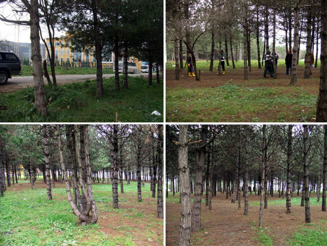 Çatalca İnceğiz Mesire Yeri: Tarihin ve tabiatın cömert davrandığı şirin bir vadi...