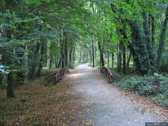 Zaman içinde buradaki orman da Belgrad Ormanı olarak anılır. Belgrad Ormanı da mangal yapılabilecek alanlardan biridir.