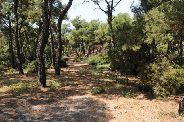 Hem denize girebilir hem mangalınızı yakabileceğiniz Büyükada'da seçenek bol