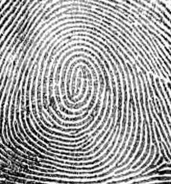 Okur yazar olmayanlar, imza yerine usulüne göre onaylanmış olması koşuluyla parmak izi, el ile yapılmış bir işaret ya da mühür kullanabilecek.