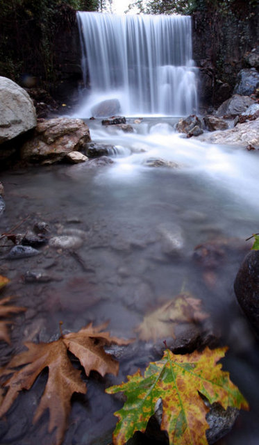 MAŞUKİYE - 1860'lı yıllarda kurulan bir belde. Kurucusu ise Çerkezlerin arasından gelen Muray Bey olarak biliniyor.  -  -
