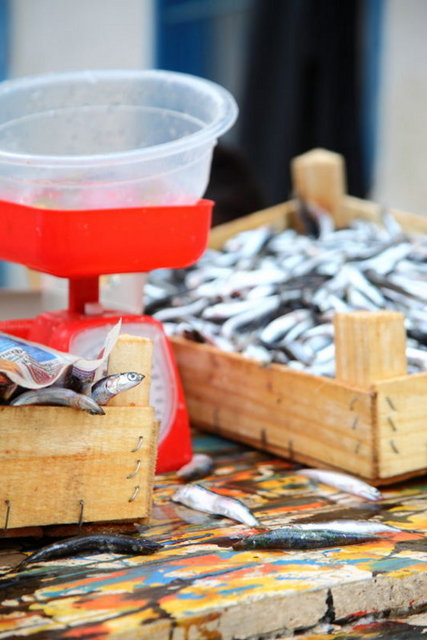 NE YENİR? - Elbette balık ve zeytin. Kabak çiçeği dolması, midye tava ve börülce de tadılası lezzetlerden.