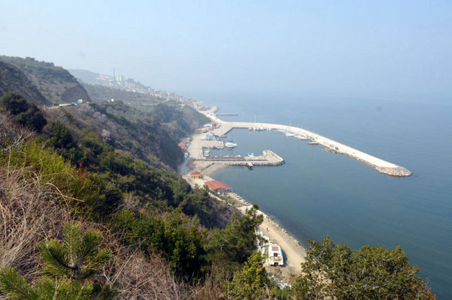 Tirilye'de en büyük geçim kaynağı zeytincilik ve balıkçılıktır.