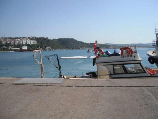 NE YENİR? - Şile denilince akla balık gelir. Özellikle de hamsi yenilmelidir. Hamsinin yanında yapılan çoban salatası, fasülye turşusu kavurması bölgenin en leziz seçeneklerinden. Hafta sonları, limandaki balıkçıların önünde kuyruklar oluşuyor. Şile yerlileri "tuzlu balık" denilen salamura çeşidini evlerinde yapıyorlar.