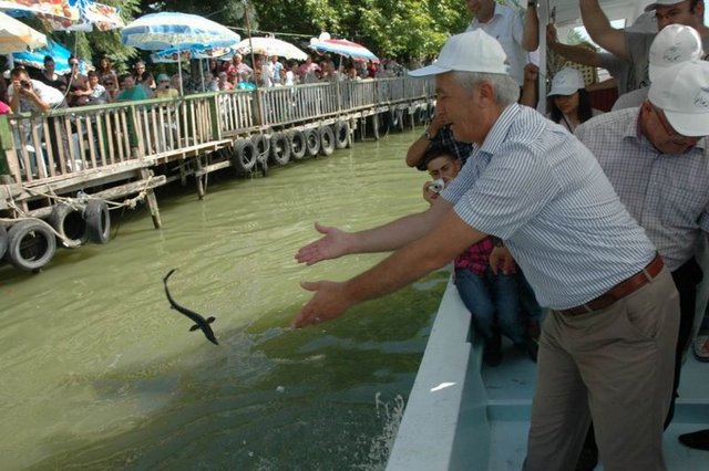 Balık harici yemek alternatifleri için, Karasu sahilinde birçok restoran ve lokanta bulunuyor -