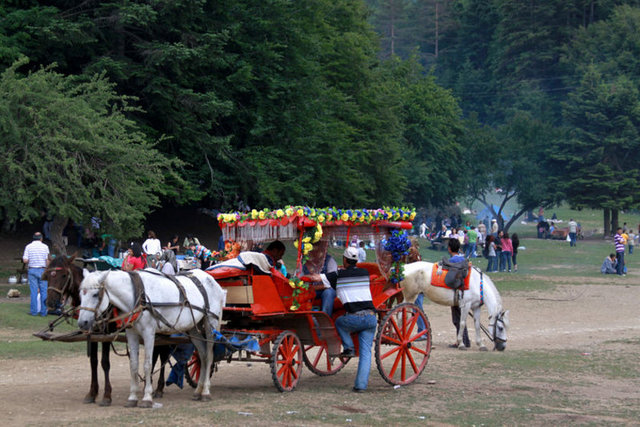 Abant'a gittiğinizde ne kadar doğal bir güzelliğin ortasında olduğunuzu fark edebilirsiniz