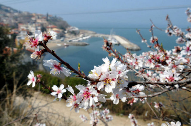 Temiz havasıyla günübirlik fotoğraf turları için ideal bir yerdir.