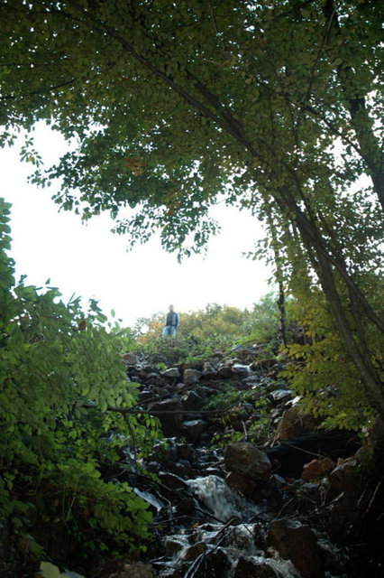 Buraya gelenlerin bir diğer gözde yemeği ise köfte ve kiremitte mantar -