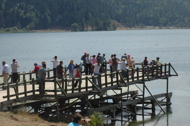 NE YENİR? -  - Abant Gölü çevresinde pek çok restoran ve kafe var. Bu restoranlarda alabalık ve mangalda et servis ediliyor. -
