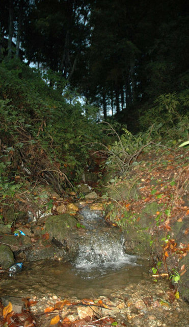 İsmi ise "Âşık" anlamına gelen "Maşuk"tan geliyor.  -