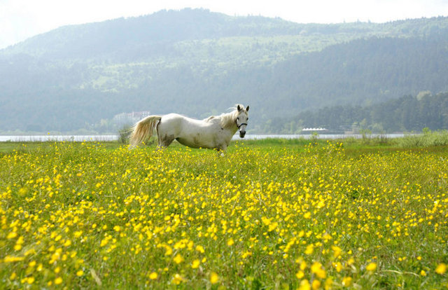 Gölde olta balıkçılığına da izin veriliyor. Ücret karşılığı benekli mercan ve alabalık avlanabiliyorsunuz. -