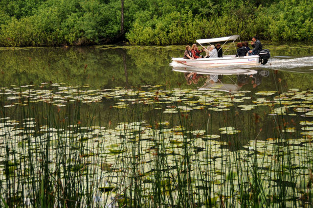 NERELERİ GÖRÜLMELİ? - Küçükboğaz Gölü, Yeni Mahalle, Acarlar Longozu görülmesi gereken bölgeleri arasında.  -