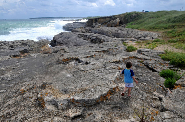 NE YENİR? - Akla ilk gelen şüphesiz ki balık. Mevsime göre denizden taze de alabileceğiniz balık, restoranlarda uygun fiyatla yiyebileceğiniz hale geliyor. -
