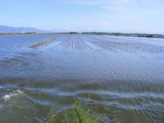Karısını ve oğlunu öldürür, sonra da yüksek bir kayadan kendini Anabelen Irmağı'na atar.  - Irmak o günden sonra "Meander" Menderes adını alır. -  -