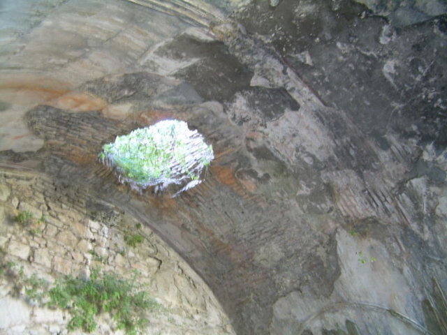 Allah tarafından kendilerine 300 yıl süre bir uyku verilmiştir. İlk uyanan, yiyecek almak için kente gider ama, elinde bulunan zamanı geçmiş para yüzünden yakalanır. Yakalayan parayı nerede bulduğunu ve oraya götürülmesini ister. O da yalnız olmadığını yedi arkadaşıyla beraber mağarada kaldığını söyler. Onunla birlikte mağaraya geldiğinde yedi yavru kuşun tünediği bir yuvadan başka bir şey görmemiştir. -