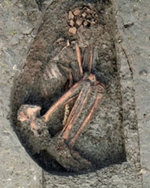 Falcı, "Tamam Padişahım!" der ve padişah sorusunu sorar: "Söyle bakalım, az sonra kayığı sahile yanaştıracağım ve şehre bir kapıdan gireceğim. Sen her şeyi bilen falcı, benim şehre hangi kapıdan gireceğimi bileceksin." - Falcı hiçbir şey söylemez, bir kâğıdın üzerine iki satır yazı yazar ve padişaha şöyle söyler: "Padişahım, lütfen bu notu kuşağınıza koyunuz ve İstanbul'a girdikten sonra açıp okuyunuz." -  -