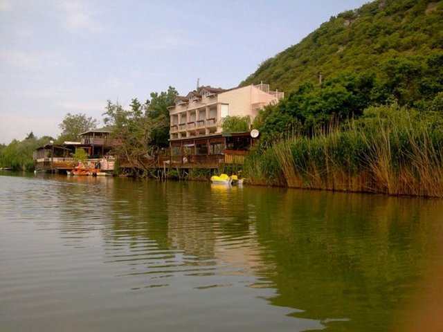 Ağva'nın balıkları da tadılmaya değer. Restaurantlarda küllenmiş ocakta ağır ağır pişirilen ızgara ve tava veya odun ateşi fırında kiremitte yapılan balıklara defne yaprağı ve özel sos konuyor.  -