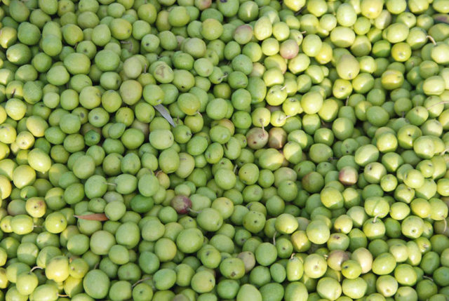 Tencere yemekleri, sarmalar, lokmalar vazgeçilmezdir. Hele ki üzerine kırmızı pul biber ve kekik dökülmüş has zeytin yağındaki yeşil zeytin yöresel bir tattır.  -